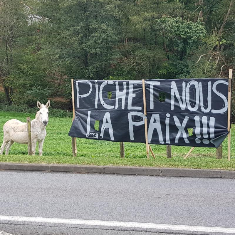 _ikusiko_dugu_kasko_gogorra_dienez_edo_gure_kaskoa_baino_gogorra_din_