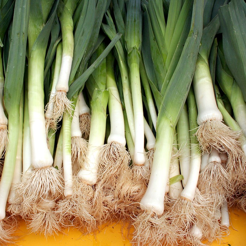 Euria%20eta%20hotza%20izanik%20ere_%20porrua%20beti%20present