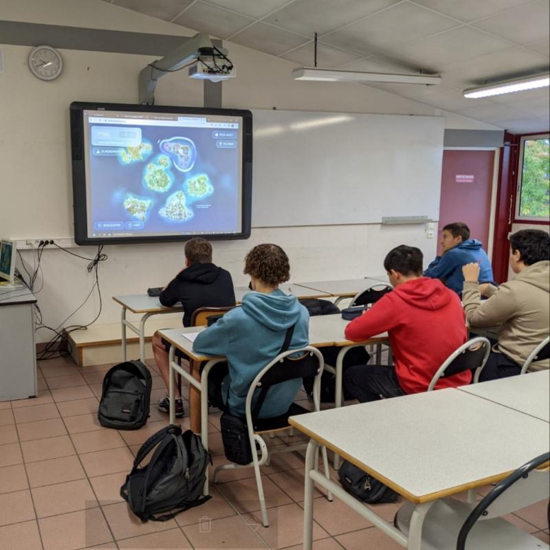 hazparneko_san_josepe_lizeoa_hobeki_ezagutzeko_parada