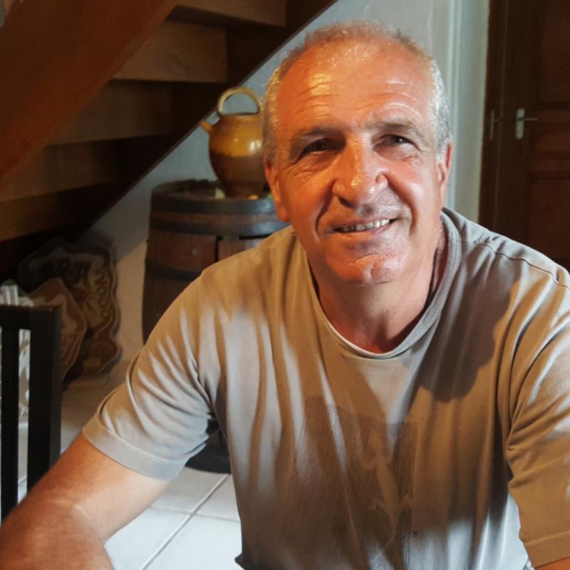 _ikusten_badituzue_ardiak_urrunean_mendian_eta_hurbiltzen_ahal_bazizte_ez_dira_sasi_ardiak_