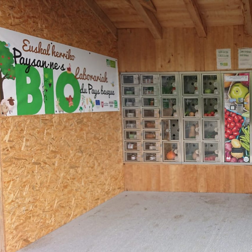 zuen_baratzekiak_kutxa_batean_berreskuratu