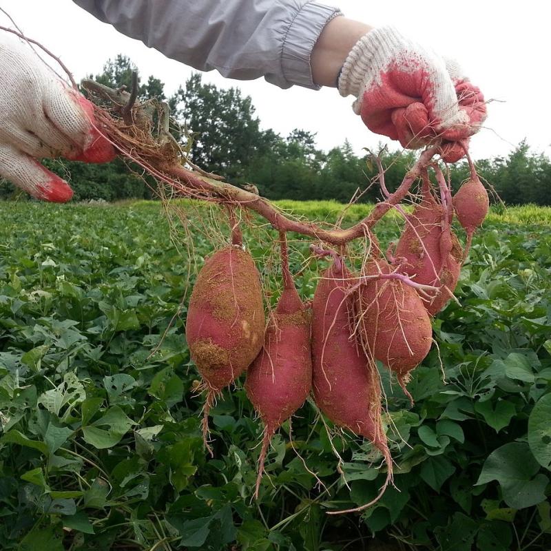 Patrick%20Larrondorekin%20hizketan_%20uraren%20erabilpenaz%20eta%20banaketaz