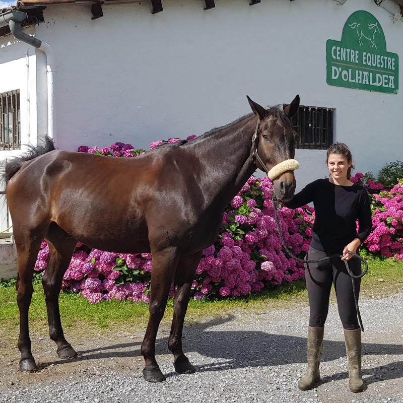 uda_zaldiz_eta_euskaraz