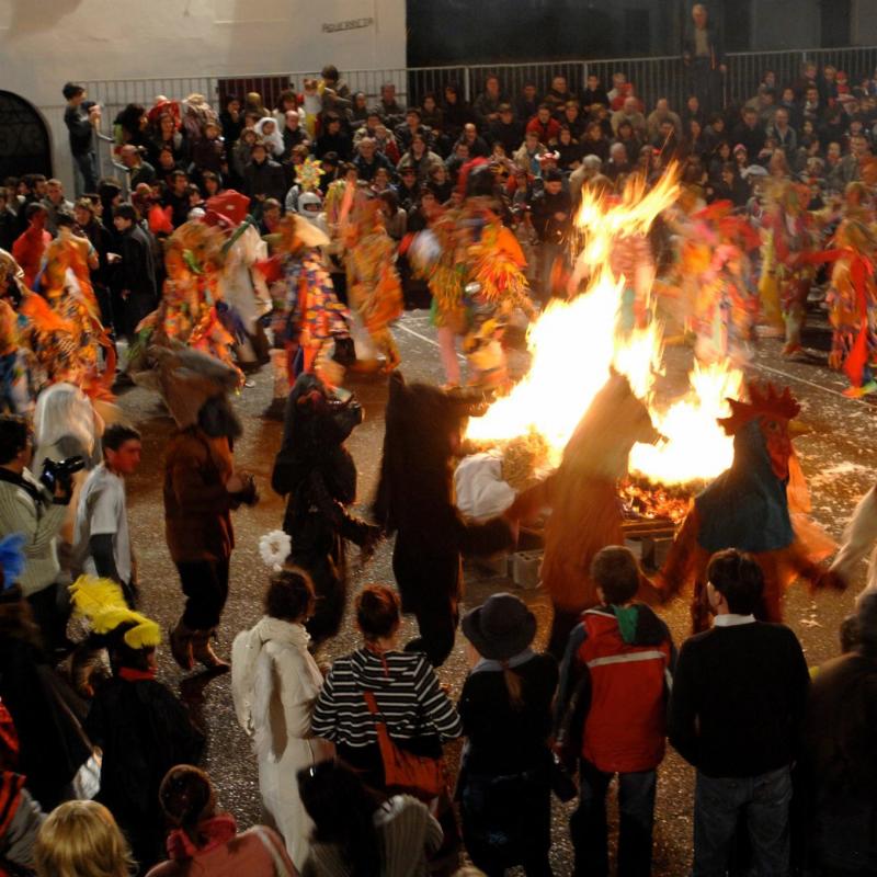 tutak_zea_mays_edota_astearte_gizena_hartzaro_iratzarria_da