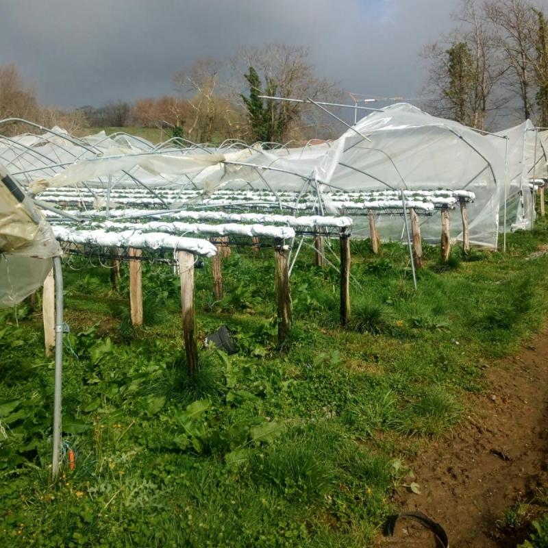 tornado_batek_zeharkatu_du_lekorne