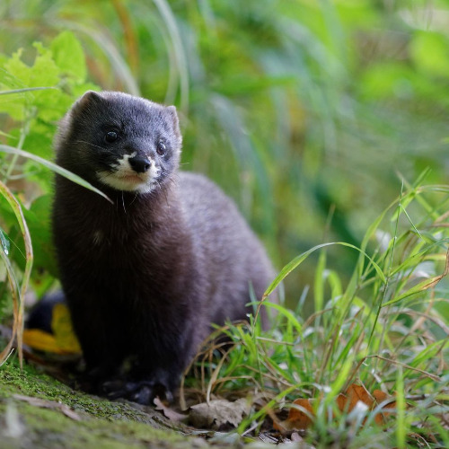 ur_ipurtatsa_hurbiletik_segitzen_duen_julen_jauregirekin_hizketan