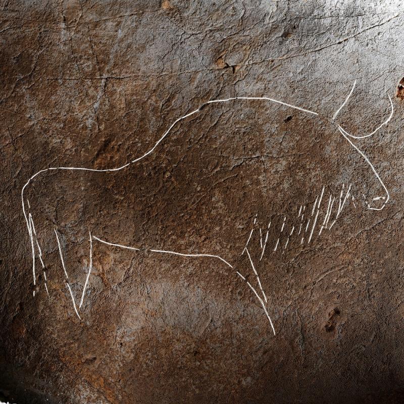 duela_25_000_urte_egin_haitzetako_grabatzeak_aurkitu_dituzte_urdazubin