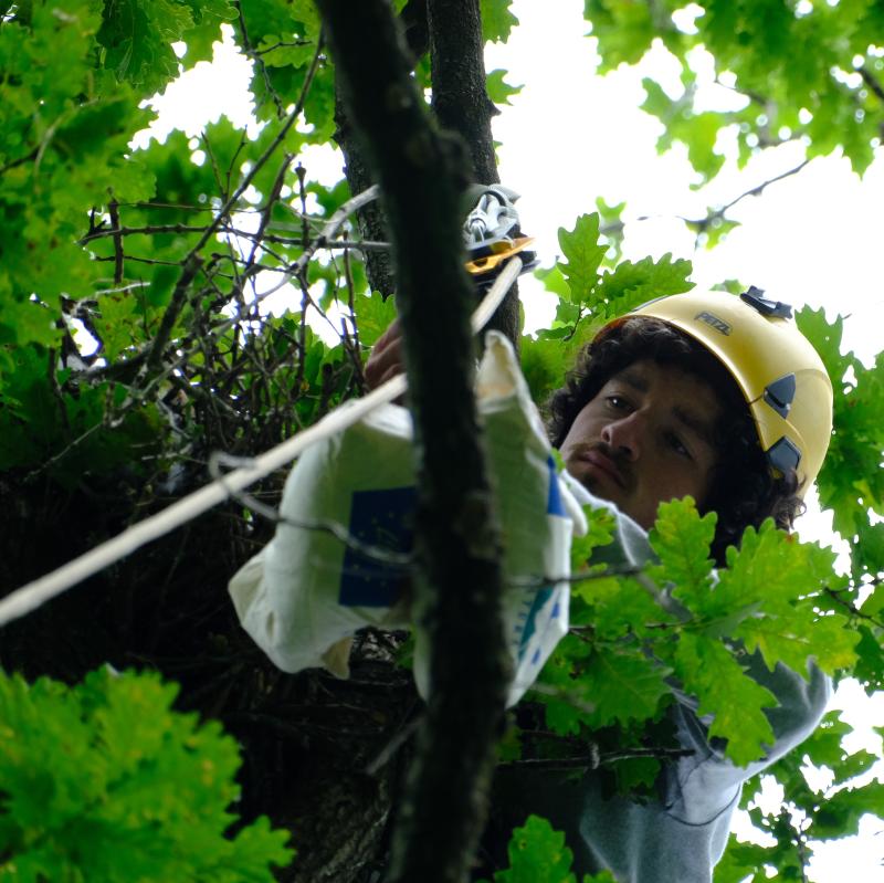 miru_gorri_gero_eta_guttiago_bainan_zergatik_