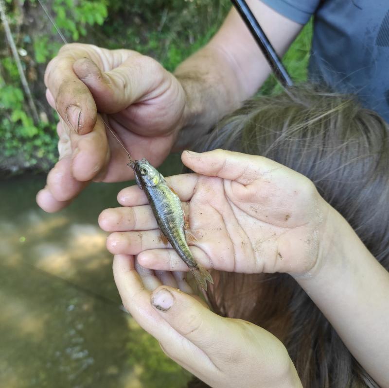 Haurrak%20urruntzen%20dira%20naturarengandik_%20lotura%20galdu%20dute